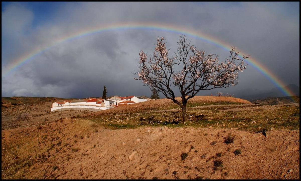 B&B Los Lujos Oria Buitenkant foto